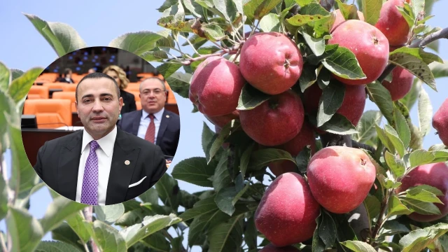 Elmalı’da elma üreticisi maliyetlerin altında eziliyor
