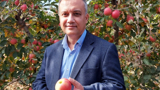 Engin Tarım, elma hasadını üç katından fazla artırdı — Fotoğraf 7