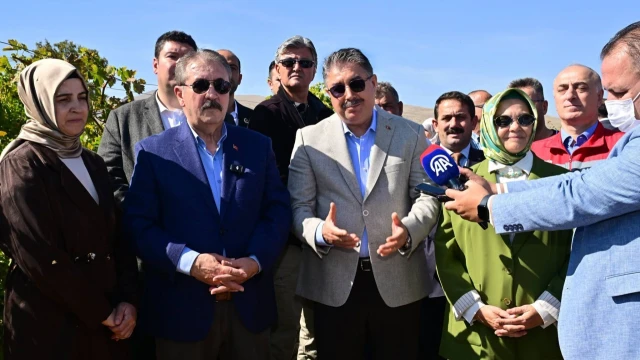 Eskişehir’de Bağ Bozumu: Üzümden Pekmez Geleneği — Fotoğraf 1