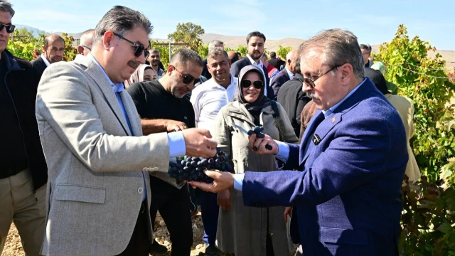 Eskişehir’de Bağ Bozumu: Üzümden Pekmez Geleneği — Fotoğraf 2