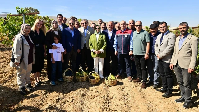 Eskişehir’de Bağ Bozumu: Üzümden Pekmez Geleneği — Fotoğraf 4