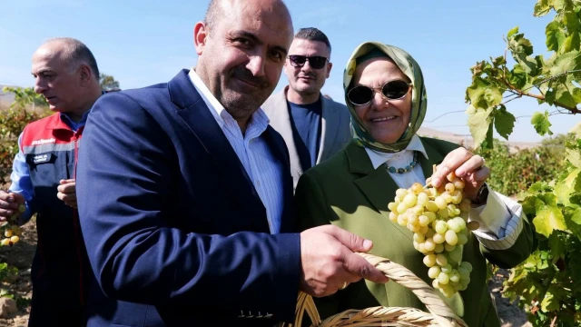 Eskişehir’de Bağ Bozumu: Üzümden Pekmez Geleneği — Fotoğraf 5