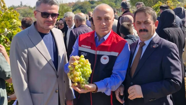 Eskişehir’de Bağ Bozumu: Üzümden Pekmez Geleneği — Fotoğraf 8