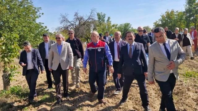 Eskişehir’de Bağ Bozumu: Üzümden Pekmez Geleneği — Fotoğraf 10