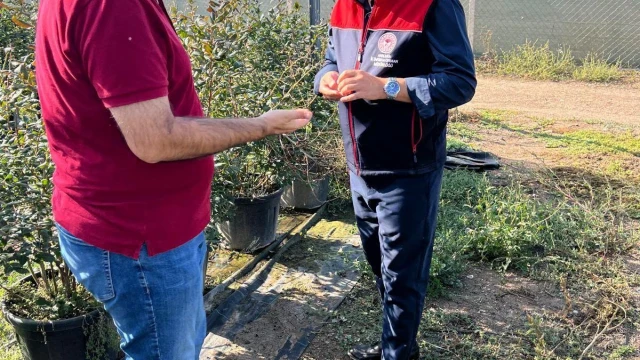 Gölbaşı’nda Yaban Mersini Yetiştiriciliği Gelişiyor — Fotoğraf 3