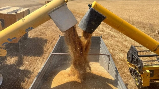 Güneydoğu’nun hububat ihracatı 2,8 milyar dolara ulaştı