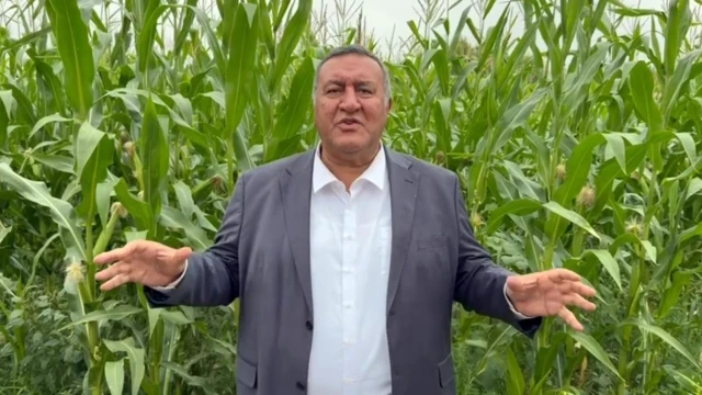 Gürer: Çiftçinin Ürünü Tarlada Değer Bulmadı