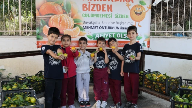 Hatay’da öğrencilere 100 ton mandalina dağıtıldı — Fotoğraf 9