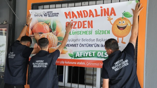 Hatay’da öğrencilere 100 ton mandalina dağıtıldı — Fotoğraf 10