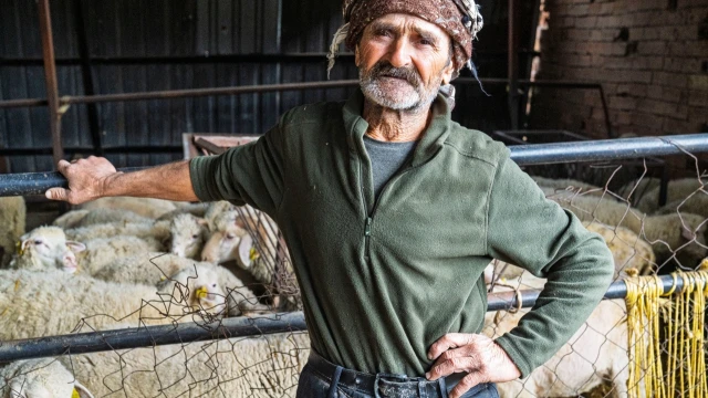 İzmir’de afetlerden etkilenen 223 üreticiye yem desteği — Fotoğraf 14