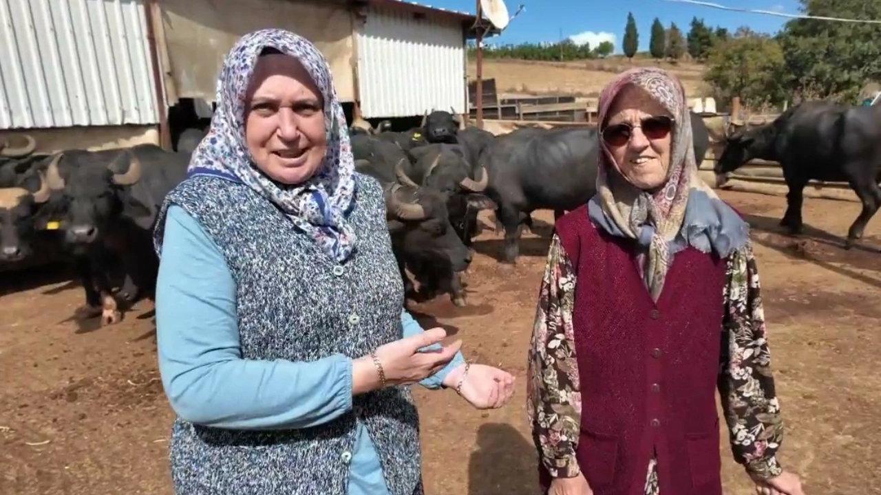 Kadın Çiftçiler: “Küçük başladık, işi büyütmeye karar verdik”