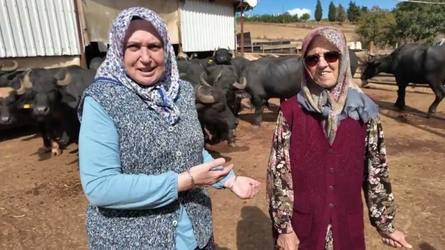 Kadın Çiftçiler: “Küçük başladık, işi büyütmeye karar verdik” — Fotoğraf 1