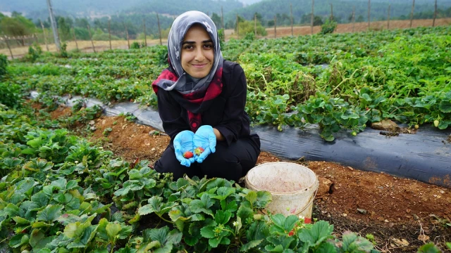 Kahramanmaraş’ta Kadın Üreticiler Dijital Pazara Açılıyor