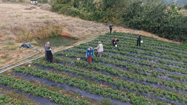 Kahramanmaraş’ta Kadın Üreticiler Dijital Pazara Açılıyor — Fotoğraf 10