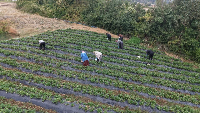 Kahramanmaraş’ta Kadın Üreticiler Dijital Pazara Açılıyor — Fotoğraf 11