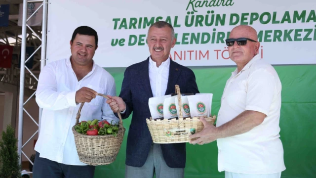 Kandıra’da Fındık Üreticisinin Ürünü TMO’ya Gidiyor — Fotoğraf 1