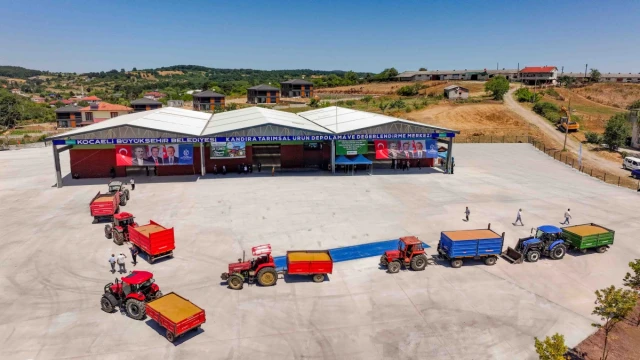 Kandıra’da Fındık Üreticisinin Ürünü TMO’ya Gidiyor — Fotoğraf 8