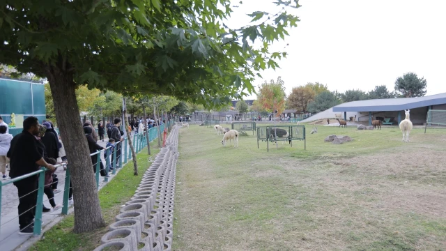 Kayseri Hayvanat Bahçesi 4 Ekim’de Ücretsiz Açıldı — Fotoğraf 3