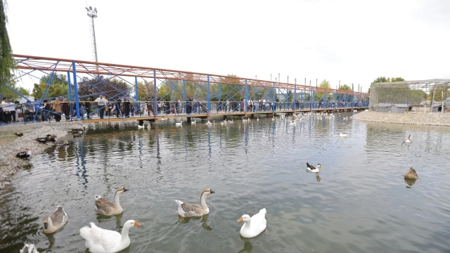 Kayseri Hayvanat Bahçesi 4 Ekim’de Ücretsiz Açıldı — Fotoğraf 4