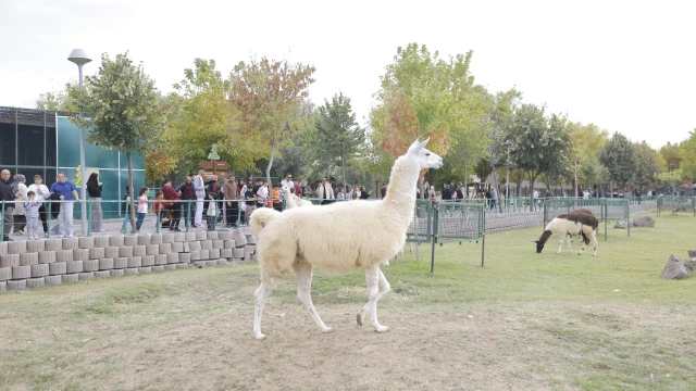 Kayseri Hayvanat Bahçesi 4 Ekim’de Ücretsiz Açıldı — Fotoğraf 5