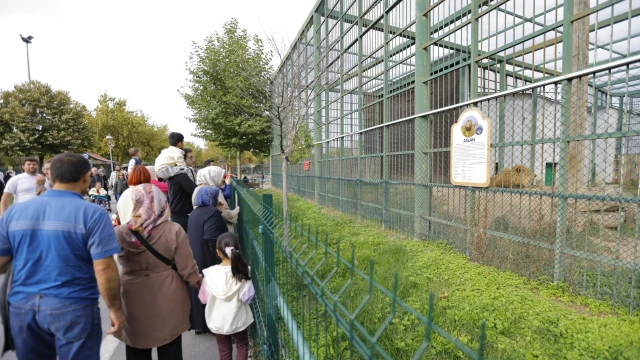Kayseri Hayvanat Bahçesi 4 Ekim’de Ücretsiz Açıldı — Fotoğraf 10