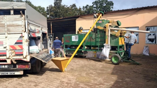 Kocaeli’de tohumluk hazırlama hizmeti çiftçinin ayağına geldi — Fotoğraf 1