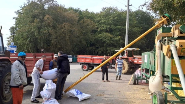 Kocaeli’de tohumluk hazırlama hizmeti çiftçinin ayağına geldi — Fotoğraf 2
