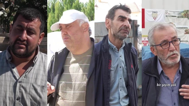 Kuru üzüm üreticilerinden TMO alımlarına destek