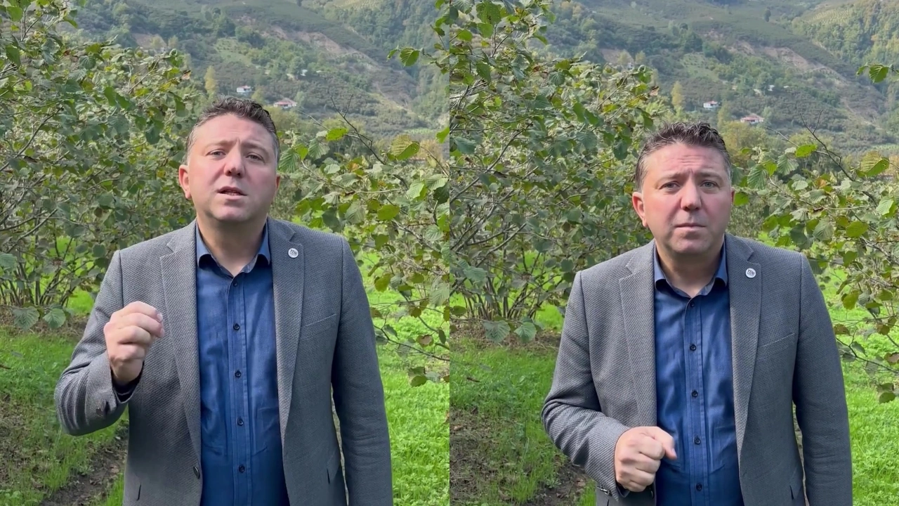 Mehmet Efe: Ayvacık’ta Fındık Fiyatı 200 Liraya Geriledi