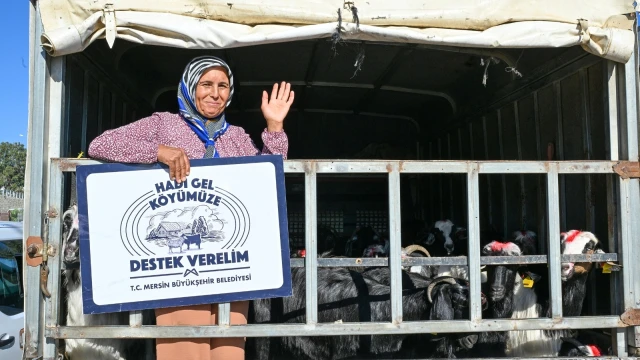 Mersin’de 347 zeytin üreticisine hasat makinesi desteği — Fotoğraf 9