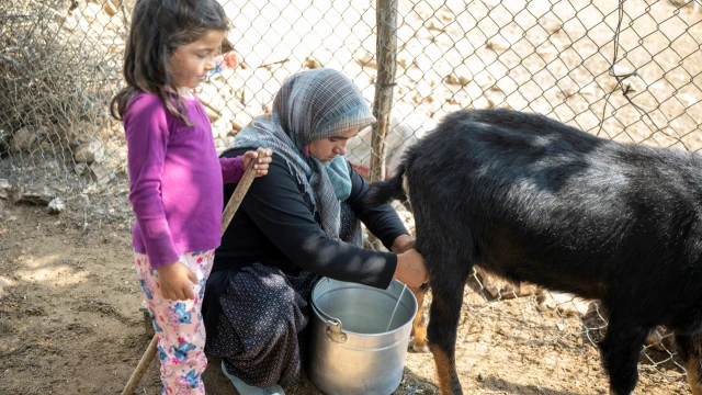 Mersin’de Konargöçer Üreticiye Güneş Enerjisi Desteği — Fotoğraf 1