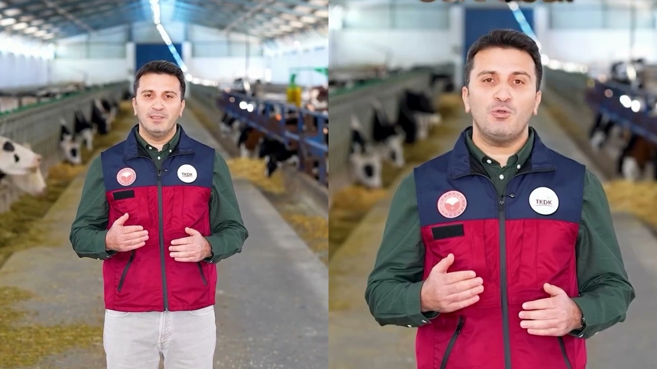 Modern çiftlik kurmak isteyenlere yüzde 75 hibe