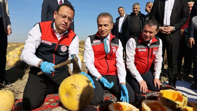 Nevşehir, çerezlik kabak çekirdeği üretiminde Türkiye birincisi