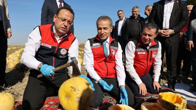 Nevşehir, çerezlik kabak çekirdeği üretiminde Türkiye birincisi — Fotoğraf 3