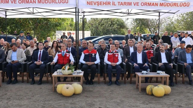 Nevşehir, çerezlik kabak çekirdeği üretiminde Türkiye birincisi — Fotoğraf 4