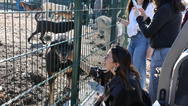 Nilüfer’de Sahipsiz Hayvanlar İçin Yeni Merkez Açıldı — Fotoğraf 7