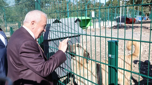 Nilüfer’de Sahipsiz Hayvanlar İçin Yeni Merkez Açıldı — Fotoğraf 10