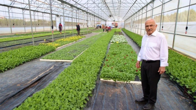 Ordu’da 550 bin kışlık çiçek dikime hazırlanıyor — Fotoğraf 1