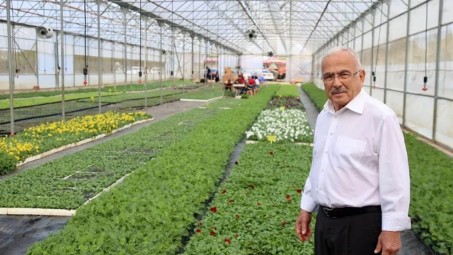 Ordu’da 550 bin kışlık çiçek dikime hazırlanıyor — Fotoğraf 5