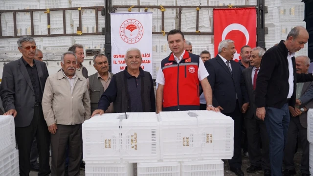 Osmaniye’de zeytin üreticilerine kasa desteği verildi