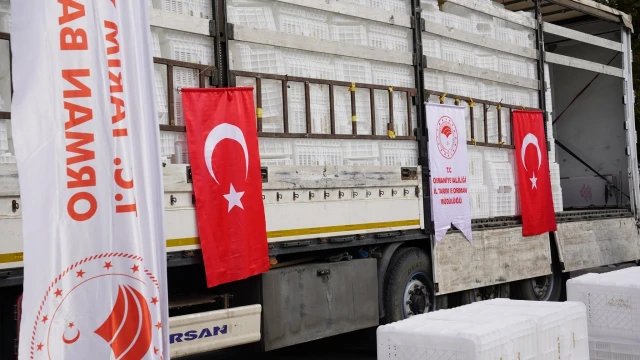 Osmaniye’de zeytin üreticilerine kasa desteği verildi — Fotoğraf 2