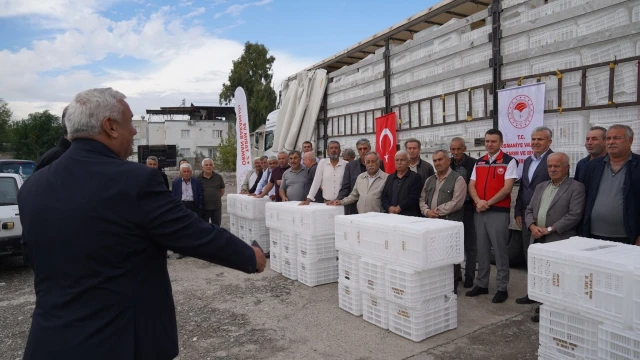 Osmaniye’de zeytin üreticilerine kasa desteği verildi — Fotoğraf 4