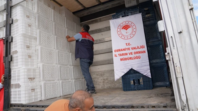 Osmaniye’de zeytin üreticilerine kasa desteği verildi — Fotoğraf 8