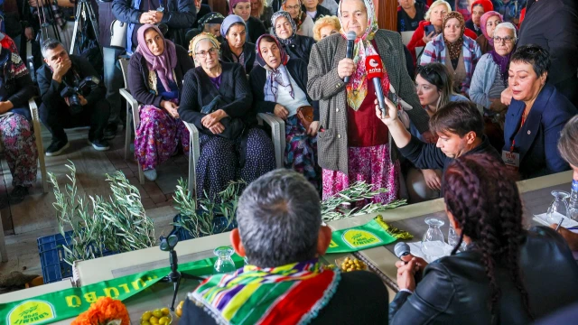 Özel’den zeytine 20, zeytinyağına 50 lira prim önerisi — Fotoğraf 1
