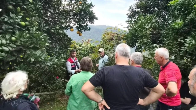 Rize Kokulu Üzümü için üreticilere belge çağrısı — Fotoğraf 2
