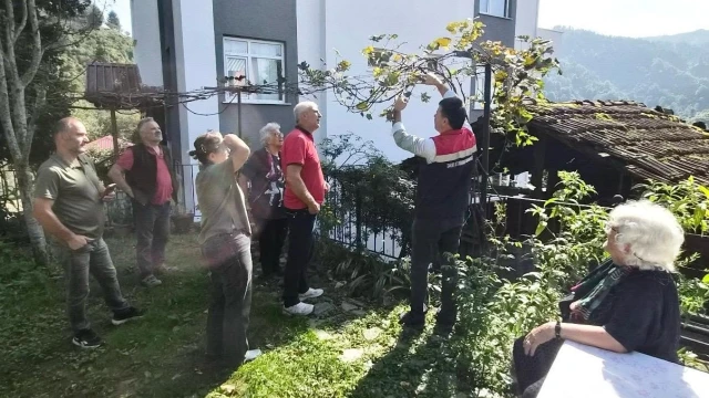 Rize Kokulu Üzümü için üreticilere belge çağrısı — Fotoğraf 6