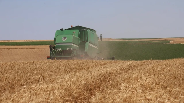 Rus tahılının Afrika’daki en büyük alıcısı Mısır oldu
