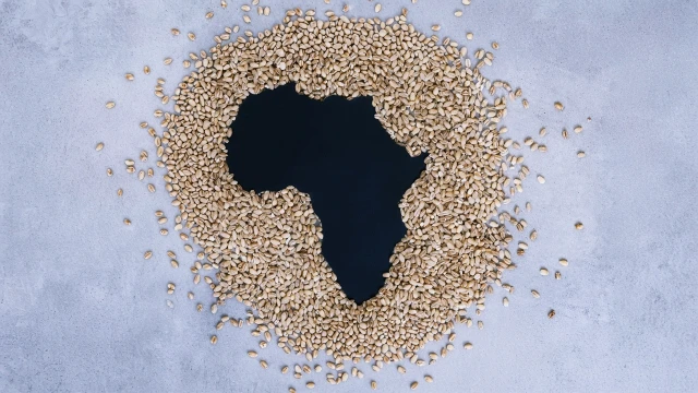 Rusya, Afrika’ya 9 ayda 13 milyon ton tahıl gönderdi