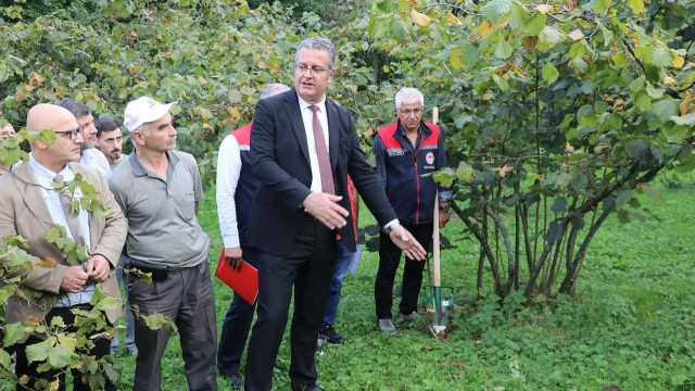 Samsun’da fındık verimini artıracak FINDEK Projesi başladı — Fotoğraf 4