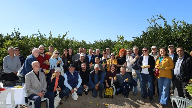 Satsuma mandalinasında ihracat sezonu başladı — Fotoğraf 4